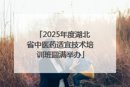 2025年度湖北省中医药适宜技术培训班圆满举办